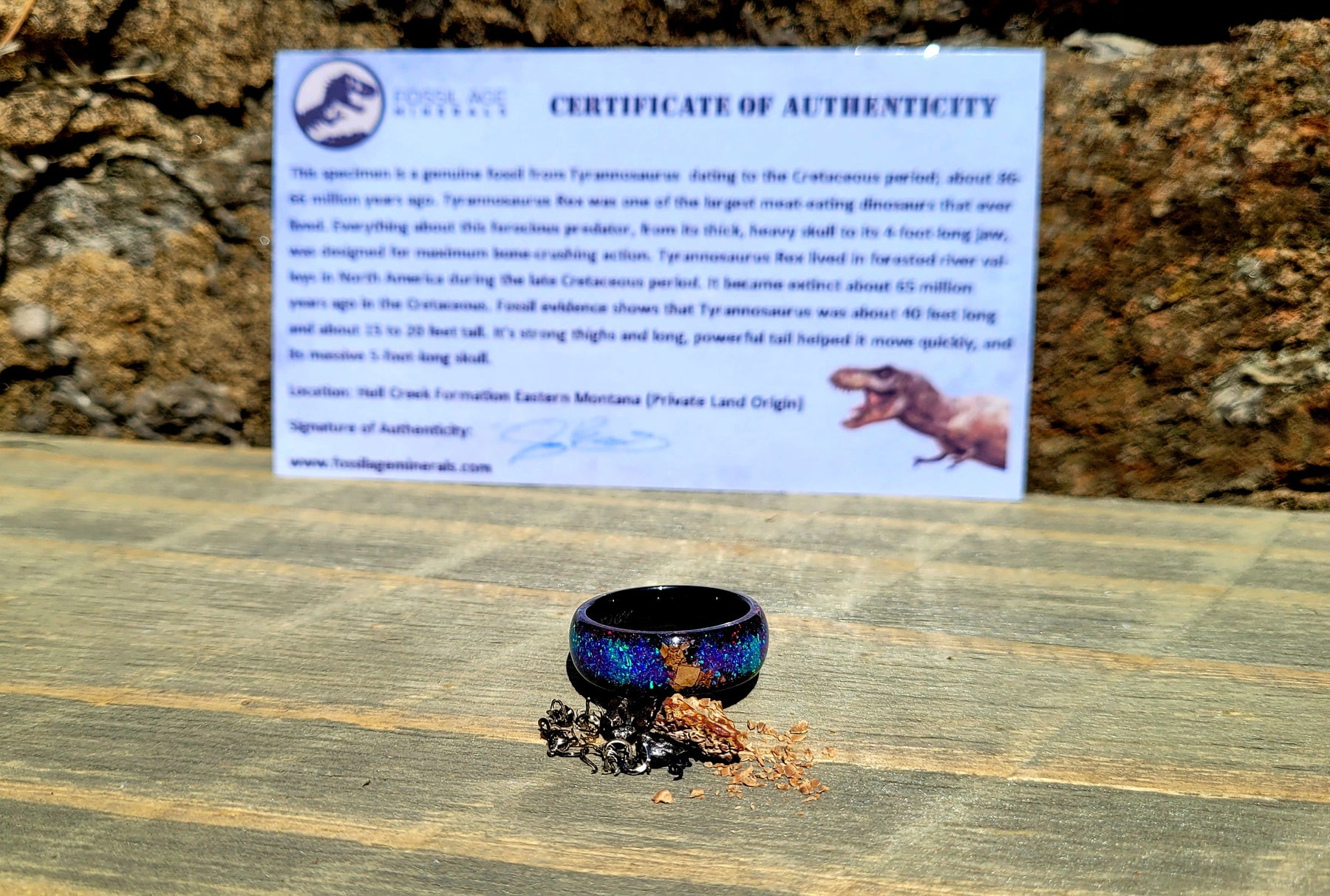 The T-Rex Galaxy Ring by Cotton Street Art Company, handmade jewelry detail photo 7