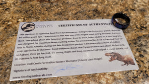 The T-Rex Galaxy Ring by Cotton Street Art Company, handmade jewelry detail photo 9