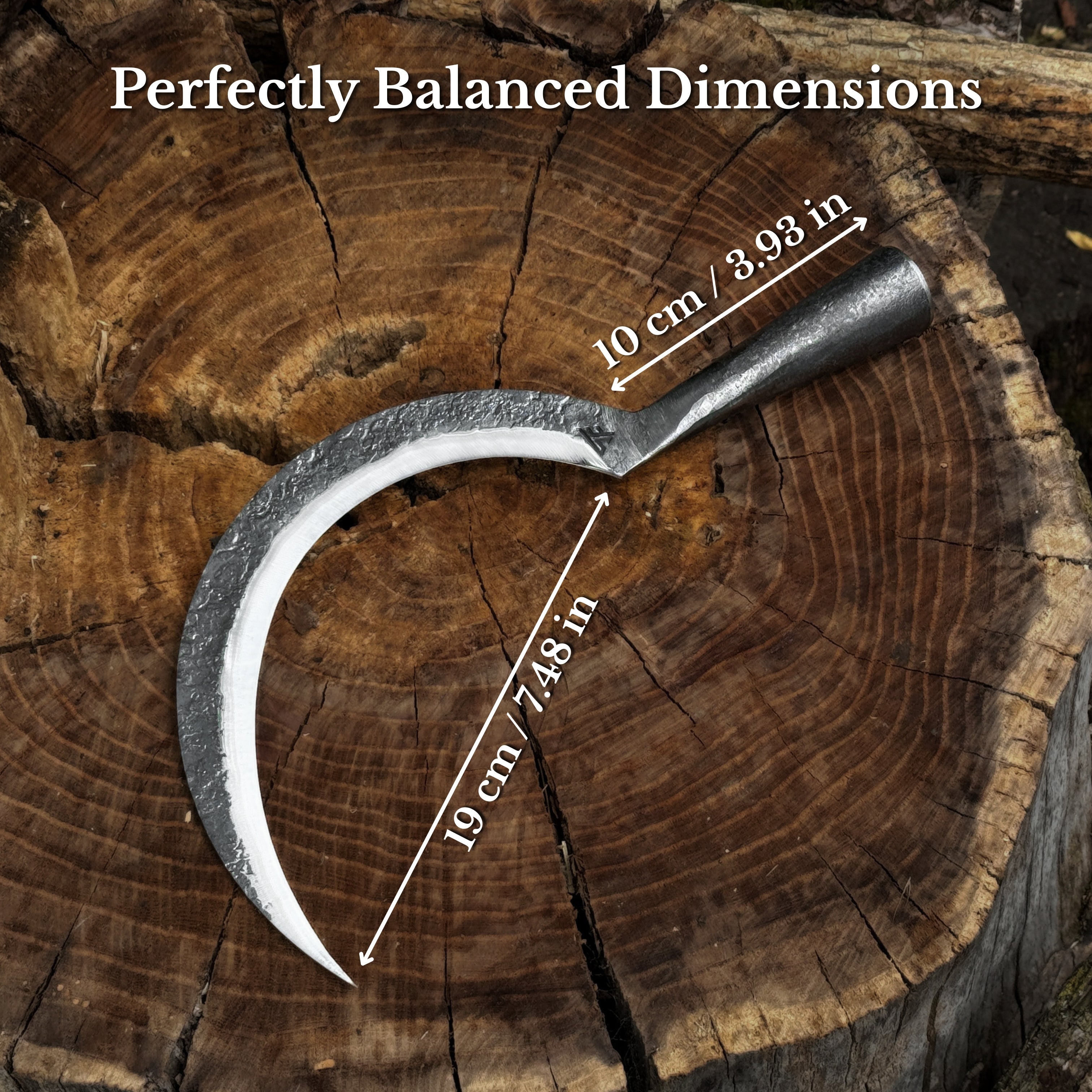 Hand-Forged Large Sickle, ⌀19 cm (7.5 inches)