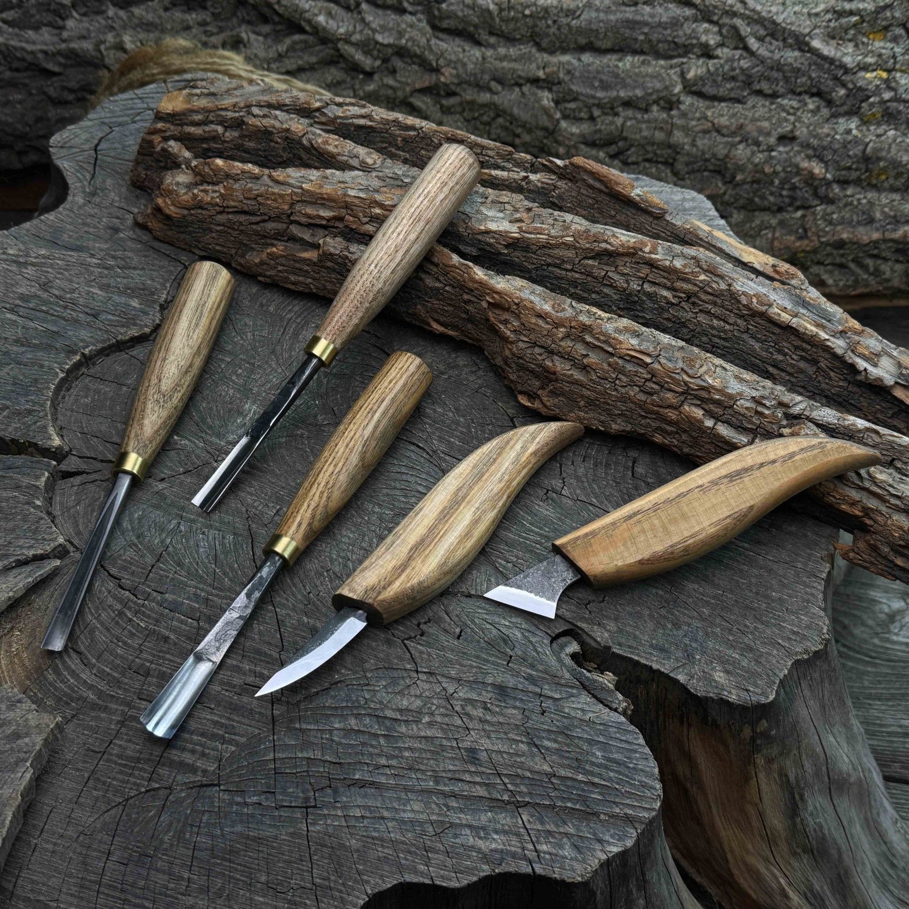 5-Piece Detail Wood Carving Set detail view by Sharky Forged Steel Tools