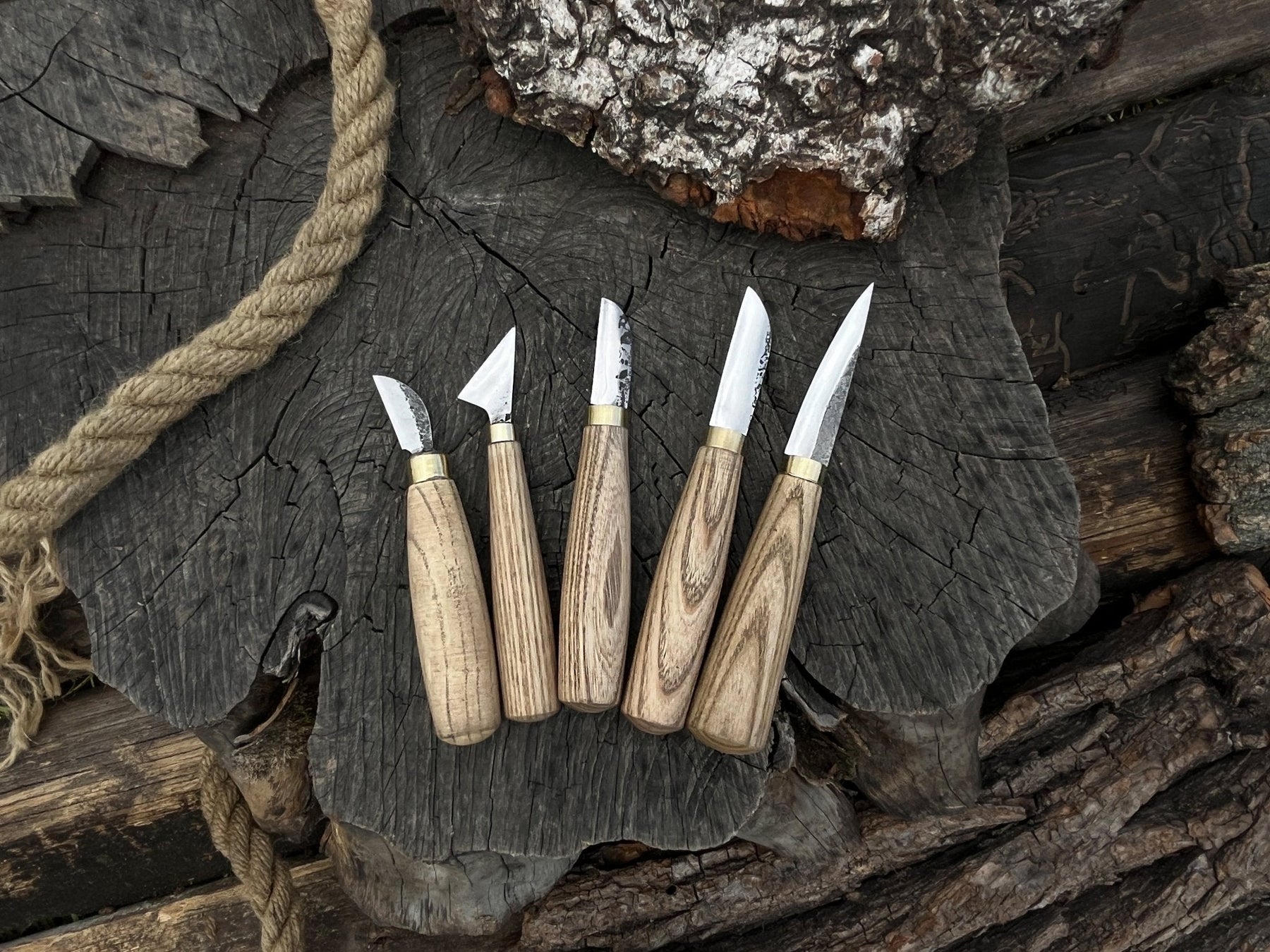 5-Piece Wood Carving Knife Set by Sharky Forged Steel Tools