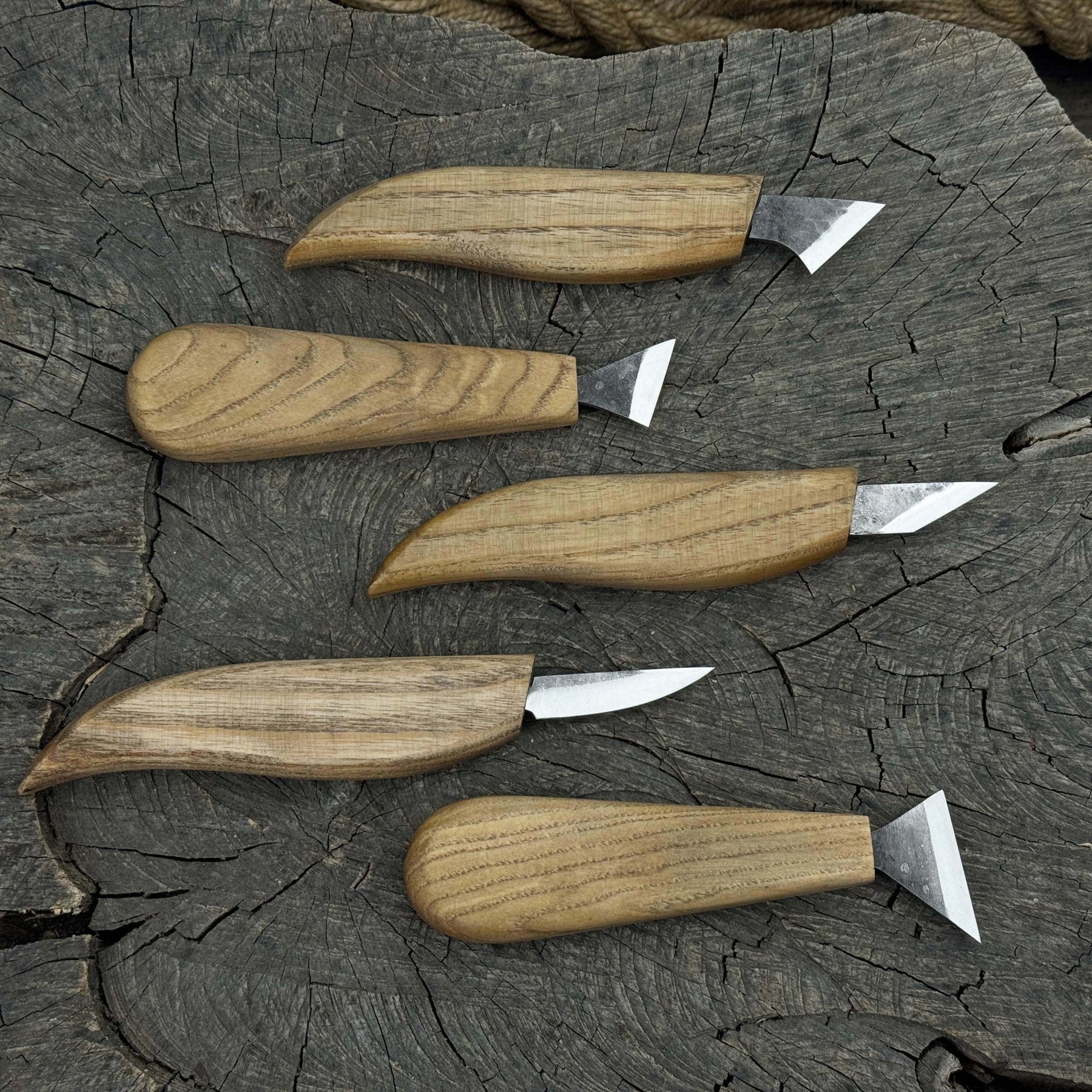 5-Piece Whittling Carving Knife Set detail view by Sharky Forged Steel Tools