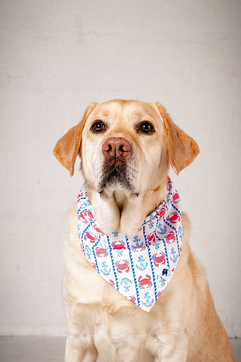 Coastal Charm Dog Bandana detail view by Dog Bandana Co.