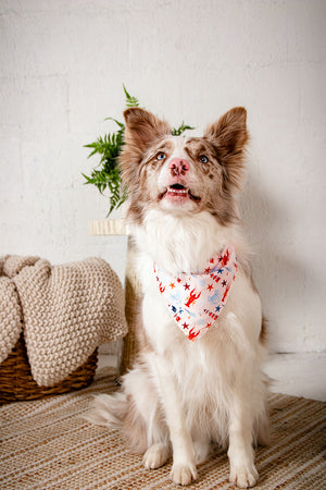Coastal Charm Dog Bandana detail view by Dog Bandana Co.