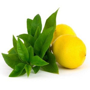 Lemon Verbena soy candle and wax melts by Mam Jam’s Candle Company, detail image 3