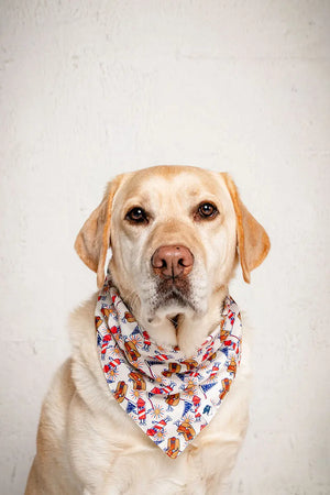 American Summer Dog Bandana by Dog Bandana Co., pet accessory detail photo 6