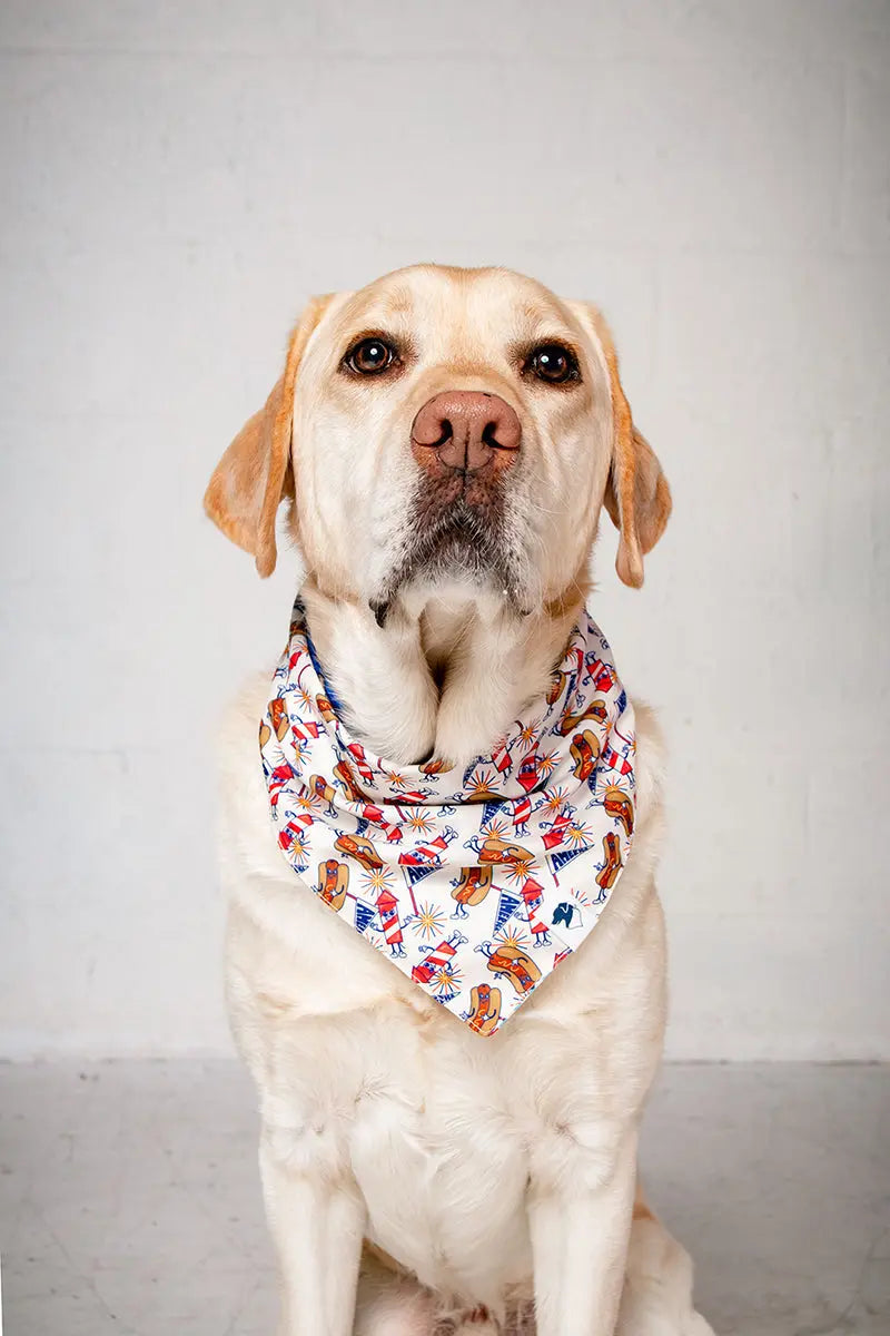 American Summer Dog Bandana by Dog Bandana Co., pet accessory detail photo 7