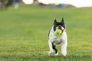 Ball Is Life Dog Bandana by Dog Bandana Co., pet accessory detail photo 6