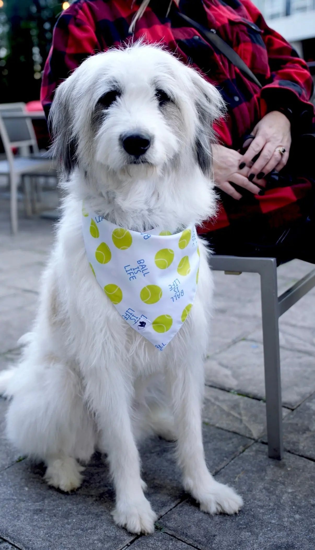 Ball Is Life Dog Bandana by Dog Bandana Co., pet accessory detail photo 8
