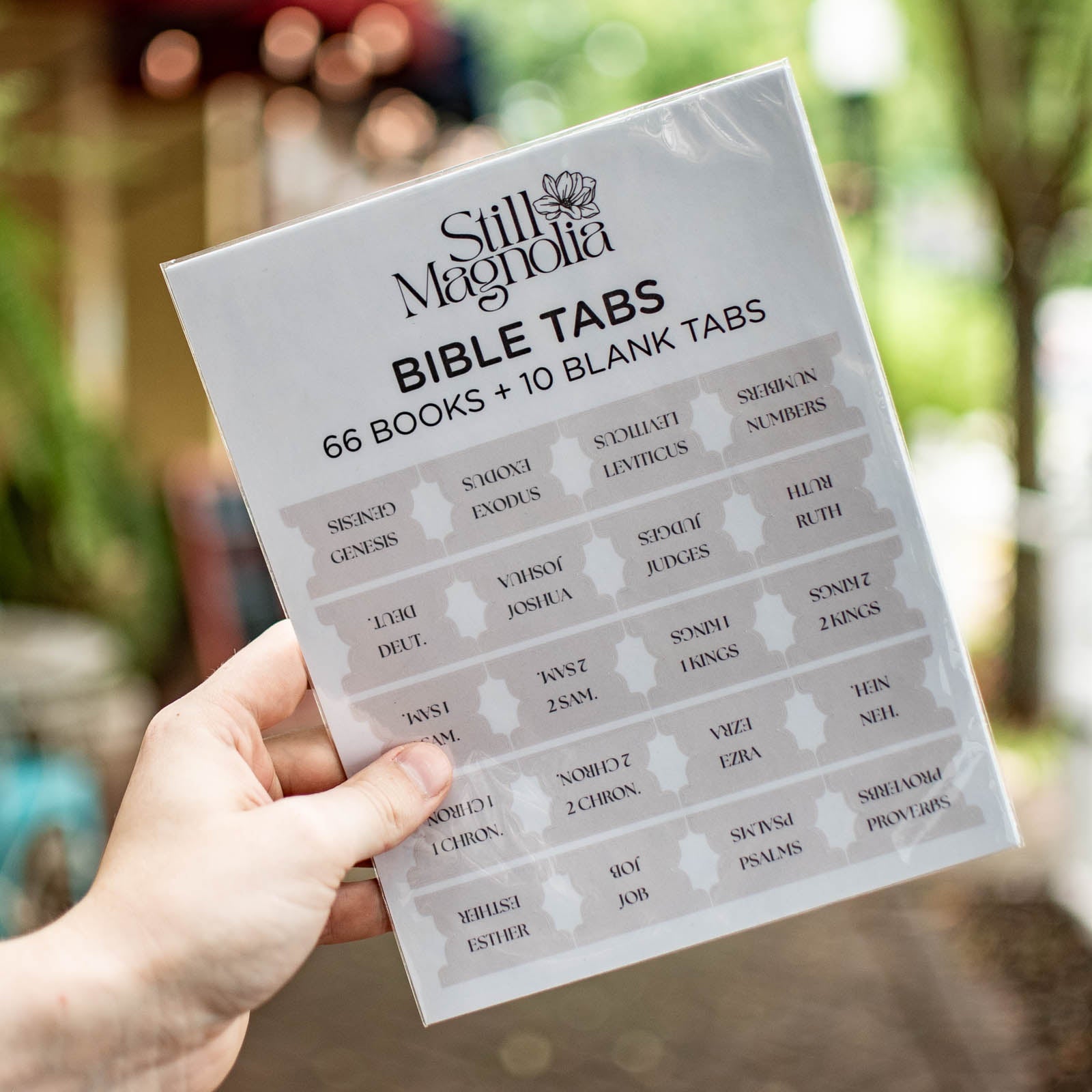 Bible Tabs - Cream by Still Magnolia, stationery main product photo