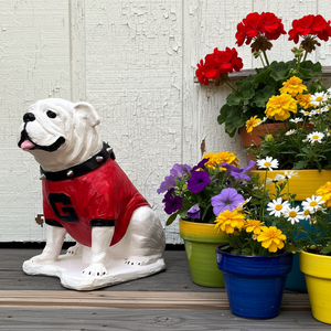 UGA Georgia Bulldog Mascot Stone Statue for Garden, Yard, Home Decor and Porch.