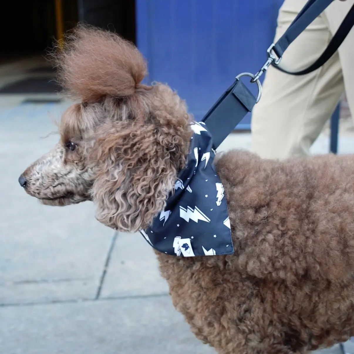 Blue Moon & Lightning Dog Bandana by Dog Bandana Co., pet accessory detail photo 4