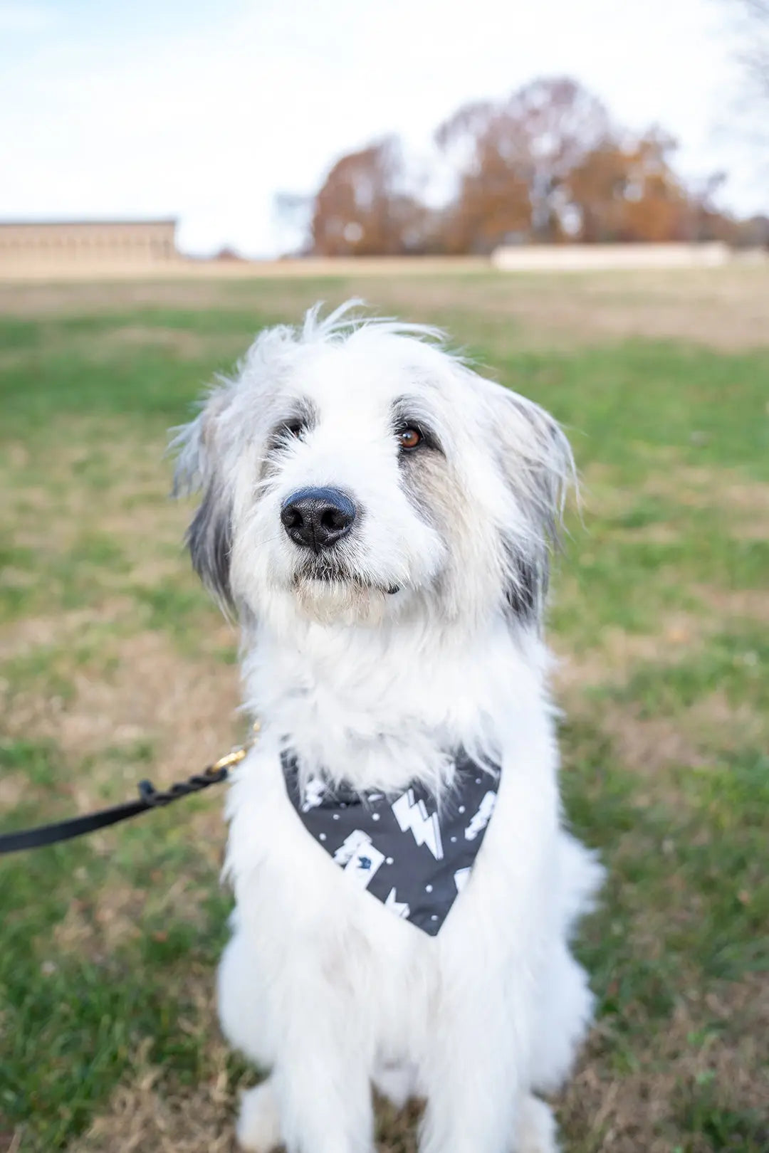 Blue Moon & Lightning Dog Bandana by Dog Bandana Co., pet accessory detail photo 7