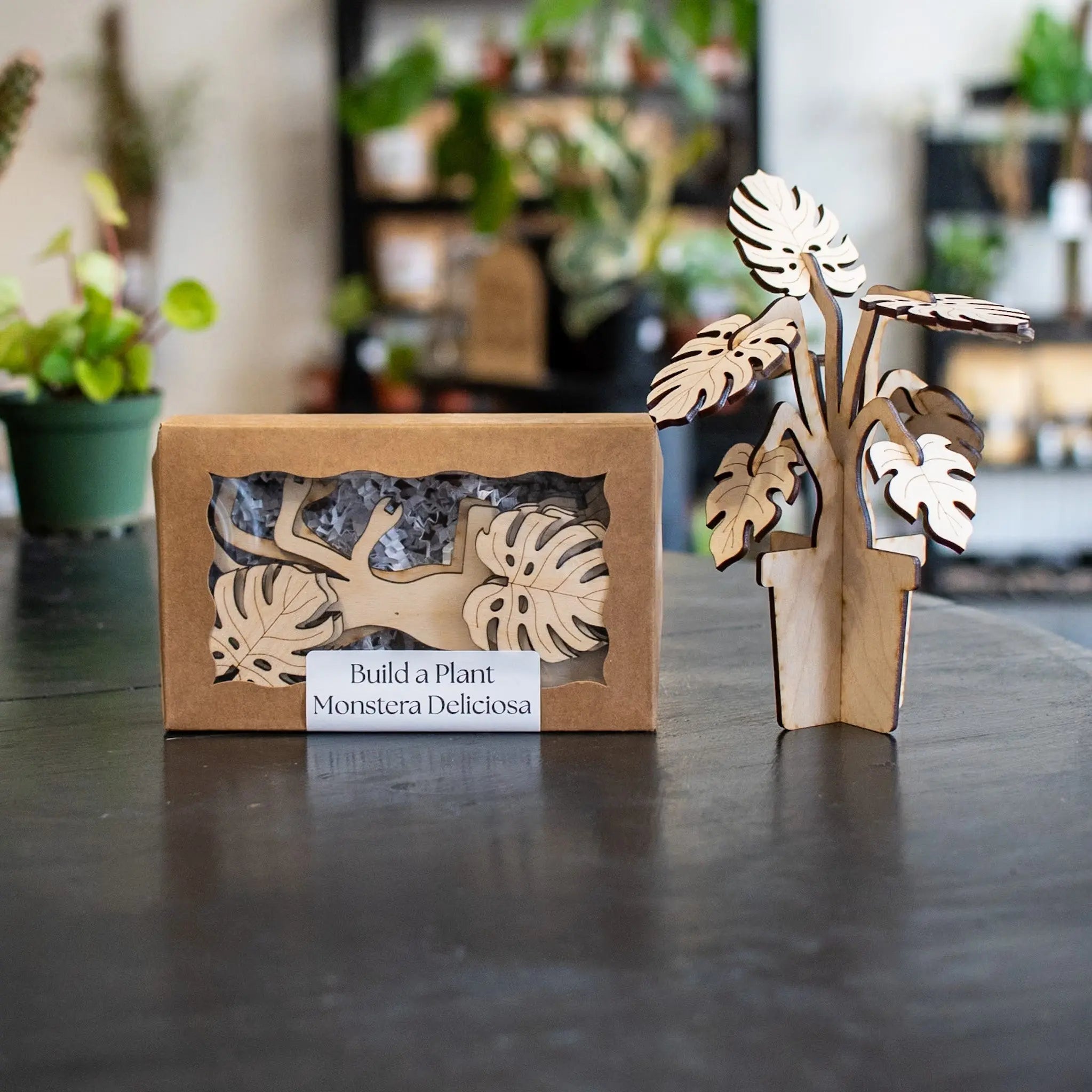 Build A Plant - Monstera by Still Magnolia, Southern home decor main product photo