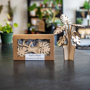 Build A Plant - Monstera by Still Magnolia, Southern home decor main product photo