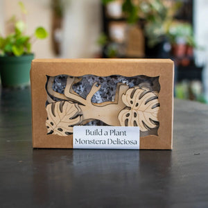 Build A Plant - Monstera by Still Magnolia, Southern home decor detail photo 3