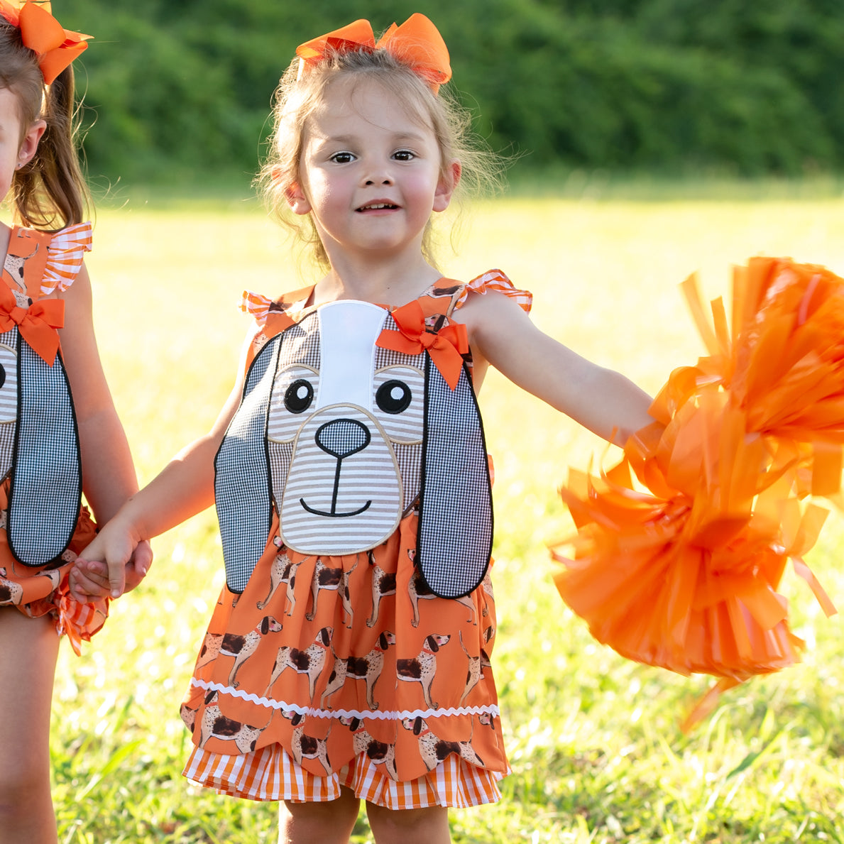 Rocky Top Coonhound Dress by Seven Lantern Lane