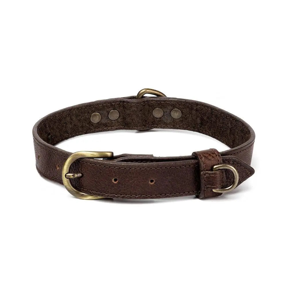 Campaign Leather Dog Collar by Mission Mercantile Leather Goods, handmade leather goods detail photo 3