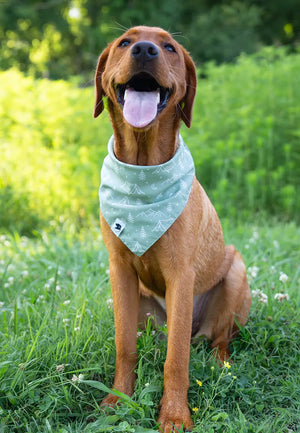 Camping & Smores Dog Bandana by Dog Bandana Co., pet accessory detail photo 4