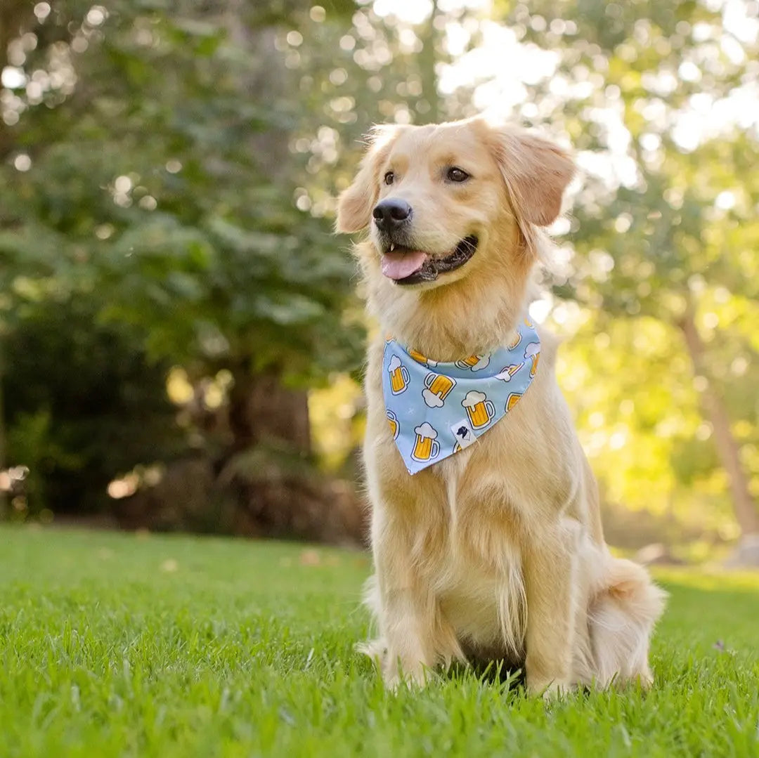 Cheers and Beers Dog Bandana by Dog Bandana Co., pet accessory detail photo 3