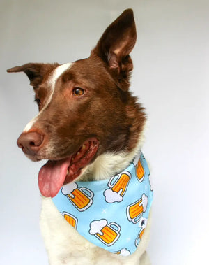 Cheers and Beers Dog Bandana by Dog Bandana Co., pet accessory detail photo 5