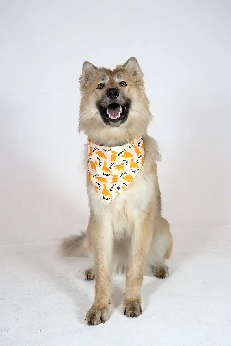 Chicken Nugget Dog Bandana by Dog Bandana Co., pet accessory detail photo 3