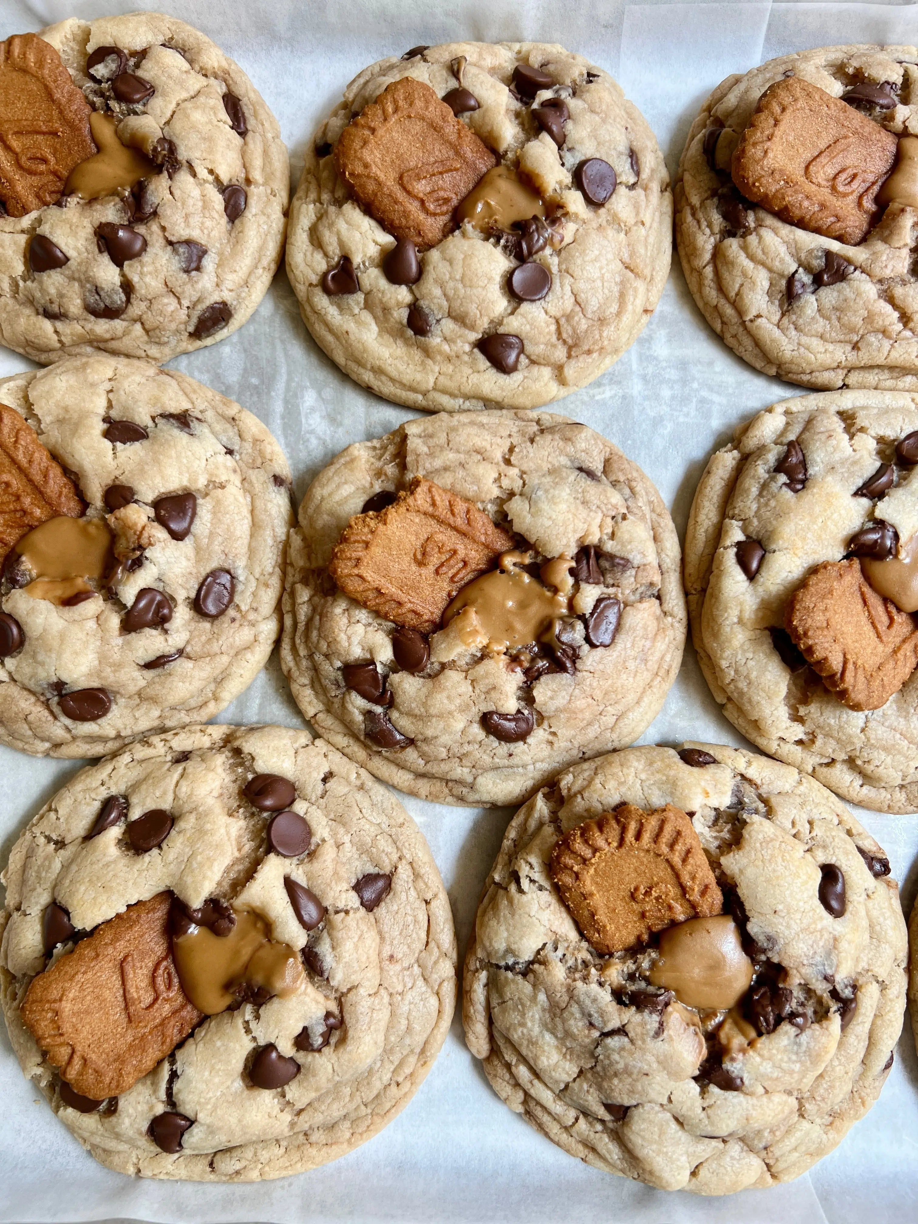 Chocolate Chip Biscoff by Let's Get Baked Artisan Desserts, Southern food gift main product photo