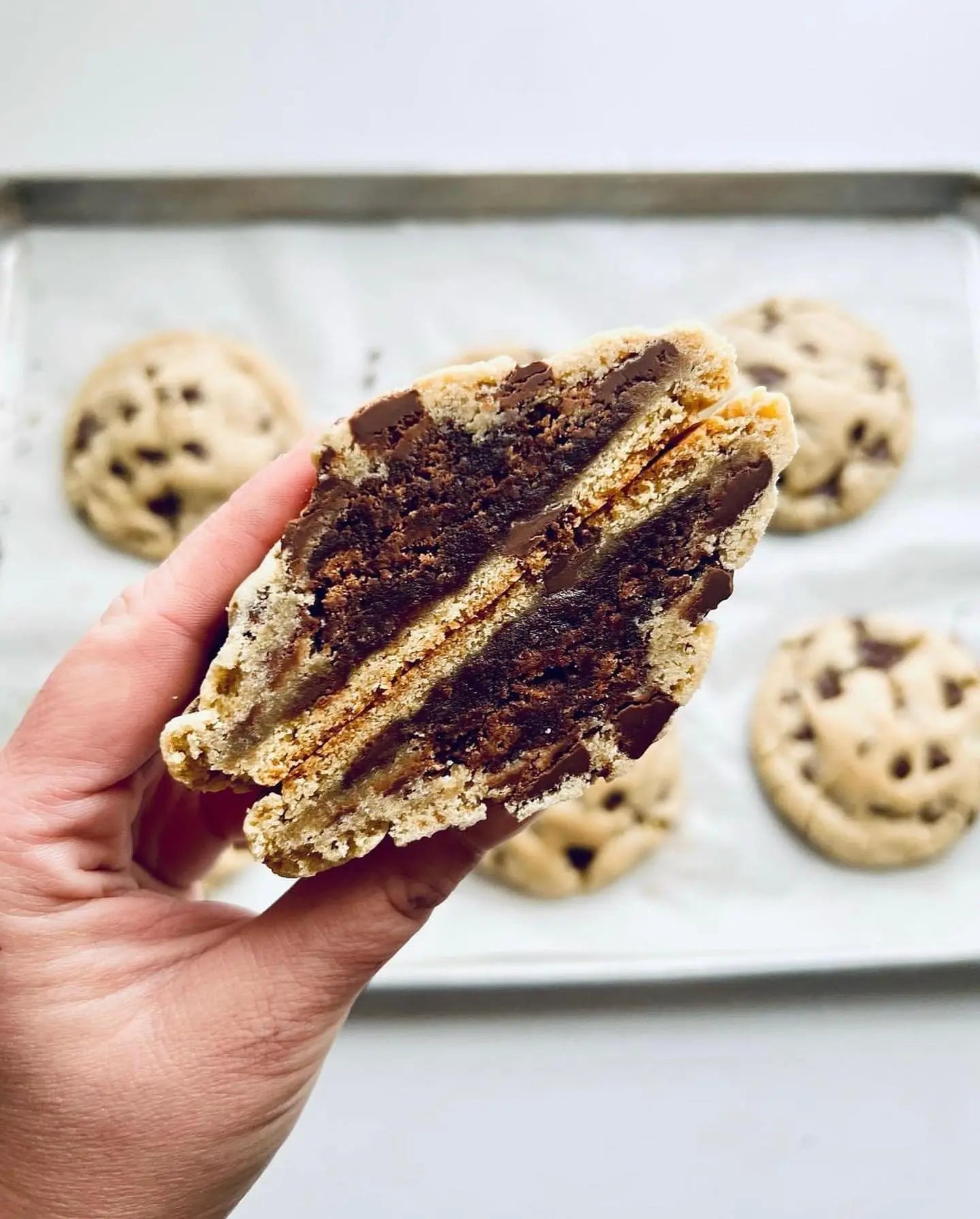Chocolate Chip Brownie by Let's Get Baked Artisan Desserts, Southern food gift main product photo