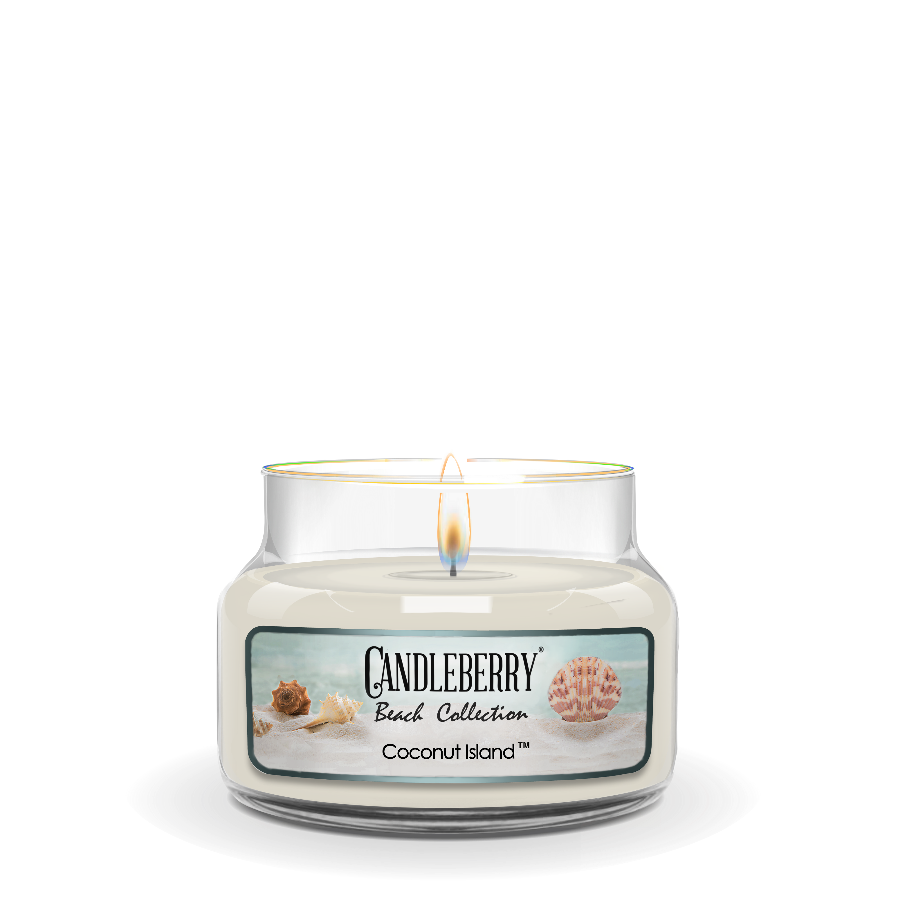 Coconut Island™, Small Jar Candle (Collective) by The Candleberry® Candle Company, scented candle main product photo