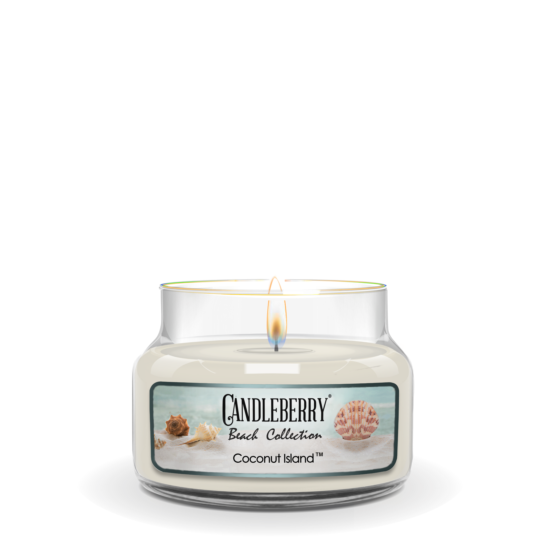 Beach Collection - Coconut Island™, Small Jar Candle (Collective) by The Candleberry® Candle Company, scented candle detail photo 2