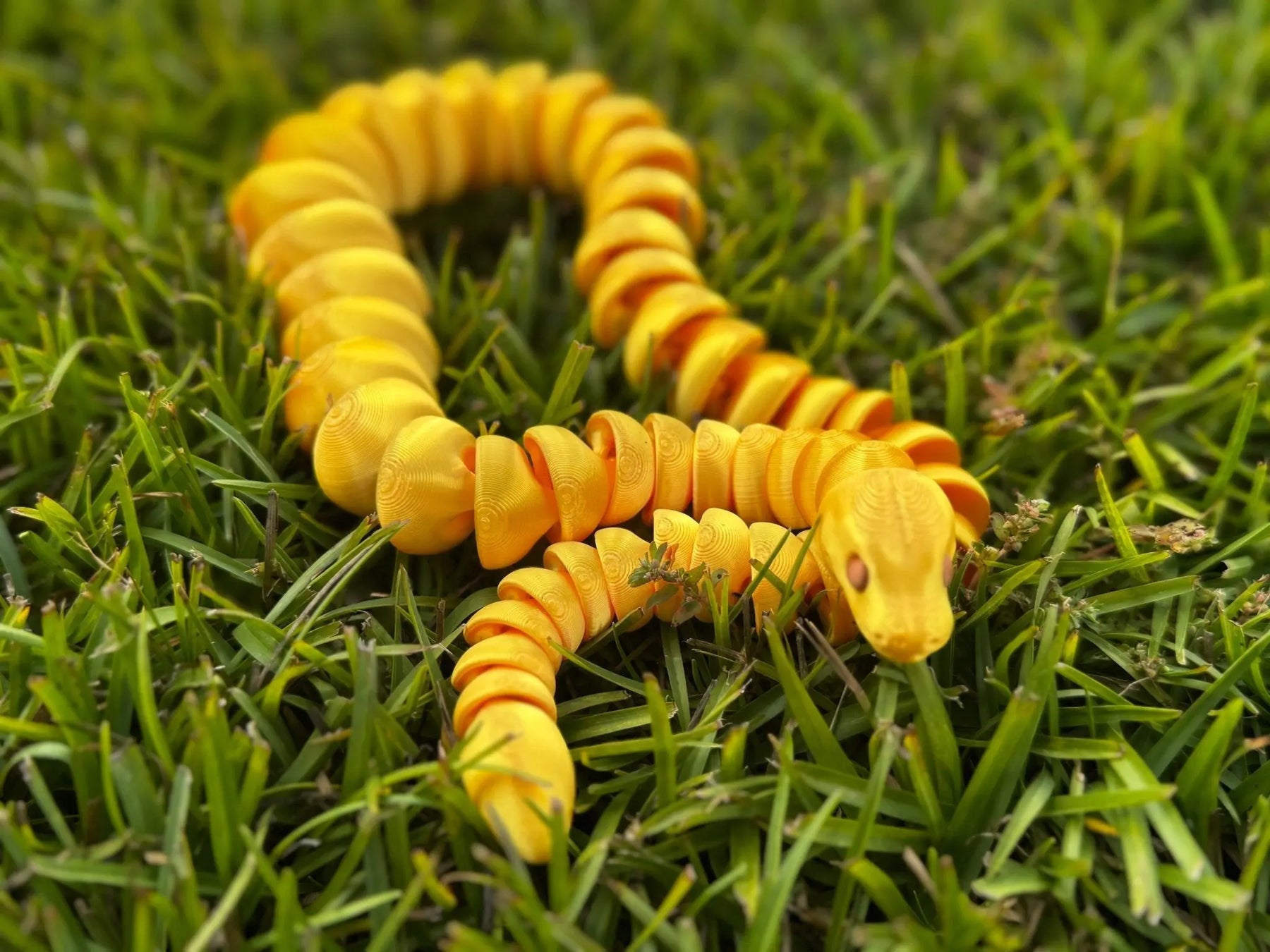 Color Shift Snake 3D Printed Fidget Toy | Large Reptile Sensory Toy by Mushroom Lady Co, paper gift detail photo 12