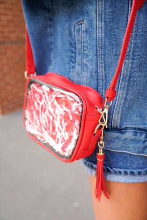 Stadium Approved Clear Purse With Tassle detail view by KenzKustomz