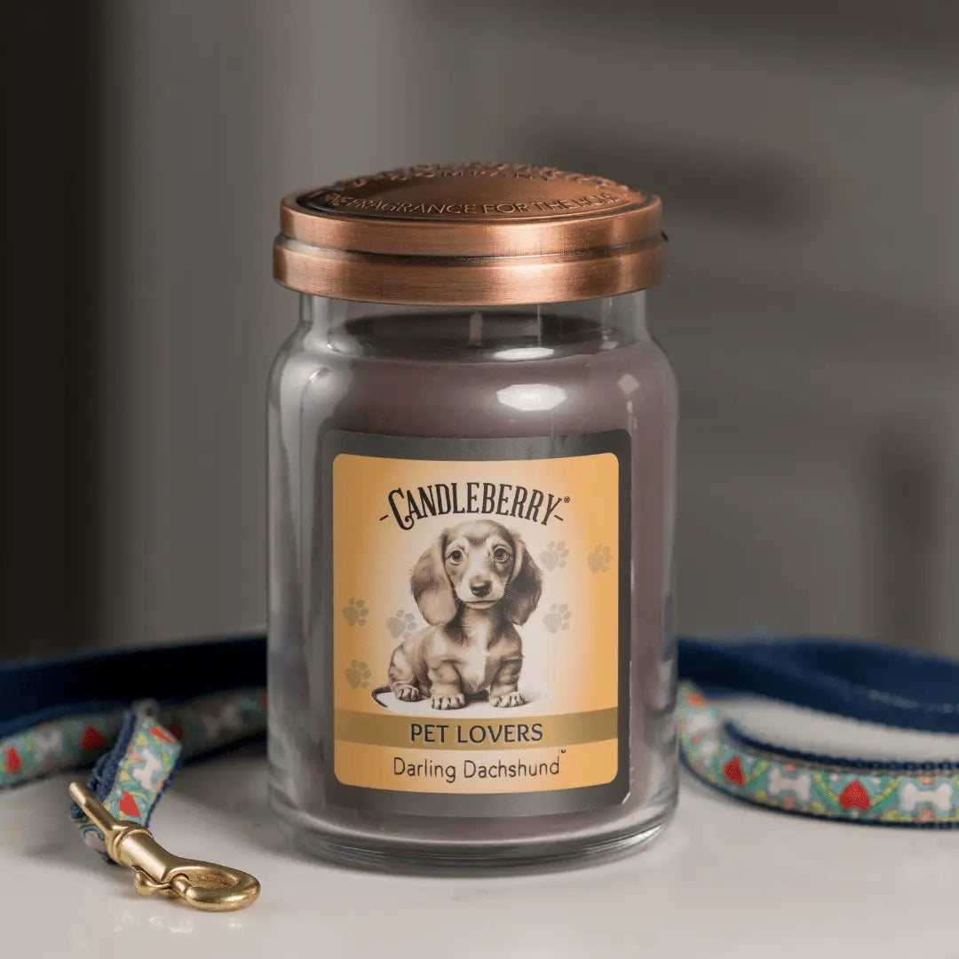 Darling Dachshund™ - Large Jar Candle (Collective) by The Candleberry® Candle Company, scented candle detail photo 5