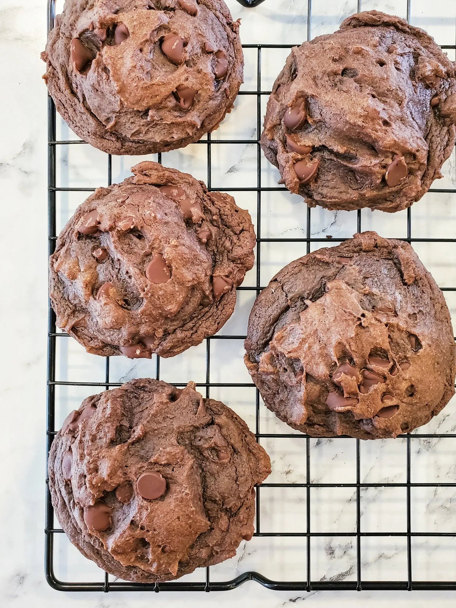 Death by Chocolate Cookie Dozen by Let's Get Baked Artisan Desserts, Southern food gift detail photo 2