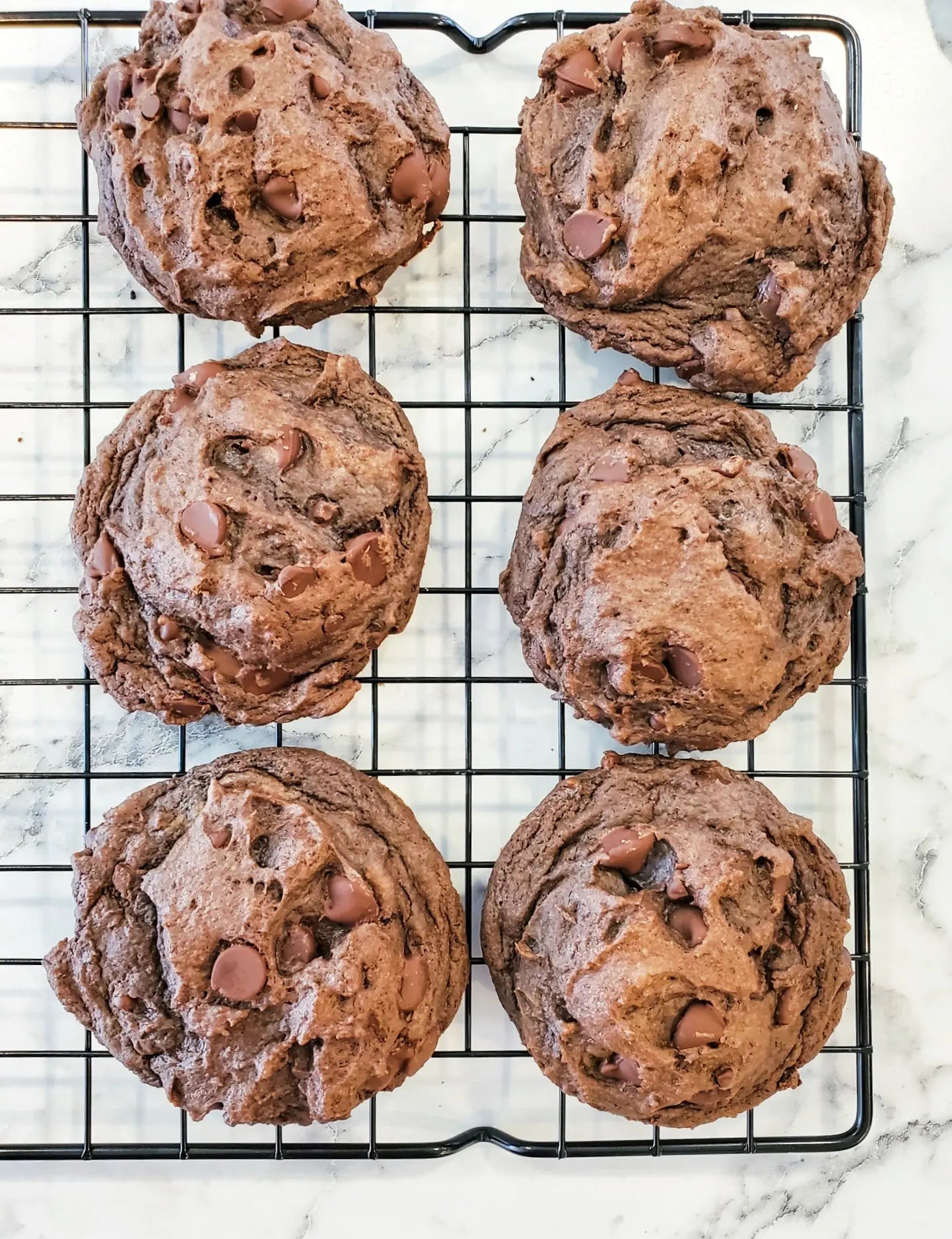 Death by Chocolate Cookie Dozen by Let's Get Baked Artisan Desserts, Southern food gift detail photo 3