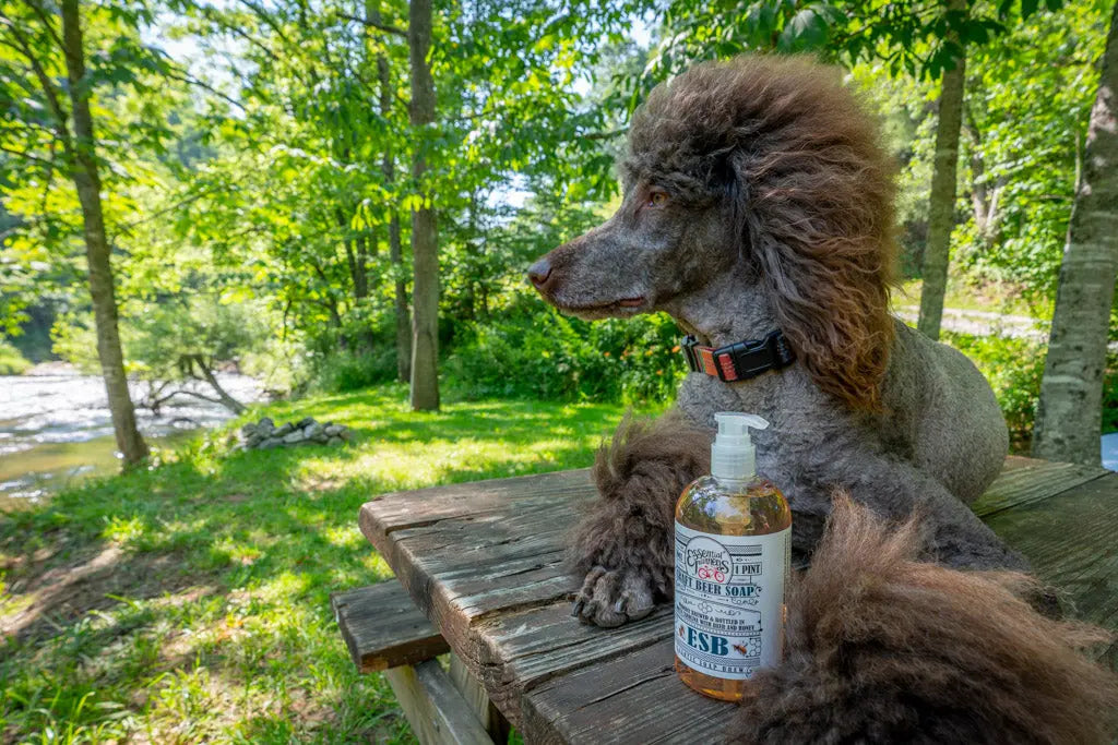 Esb Craft Beer Soap ~ 16 Oz. Liquid Soap by Essential Journeys, natural skincare detail photo 12