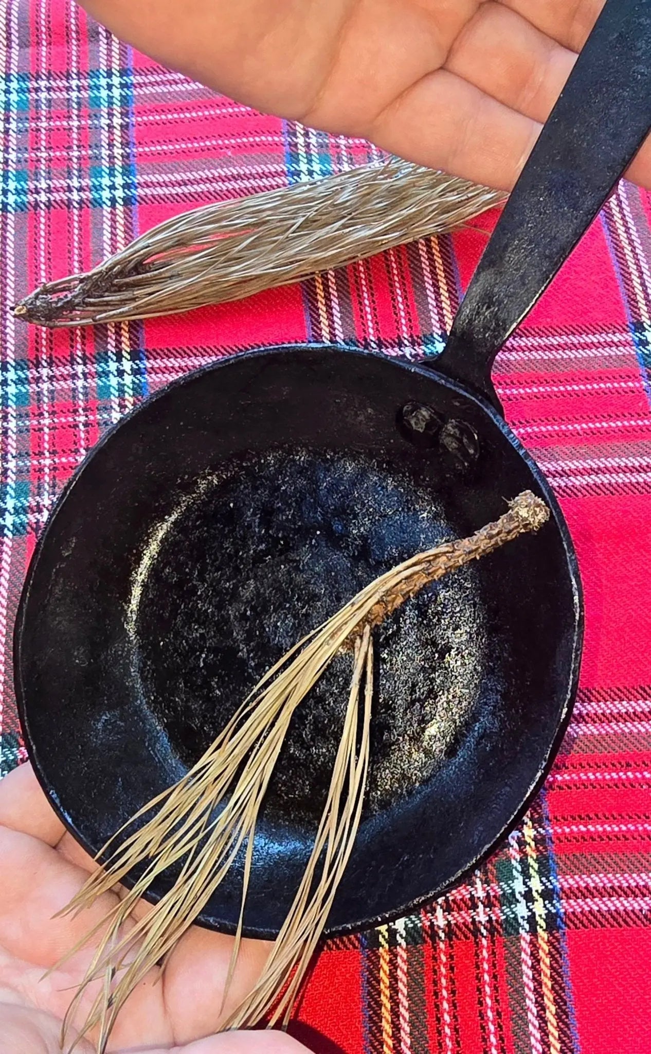 Egg Skillet by Redbeard's Forge LLC, uncategorized main product photo