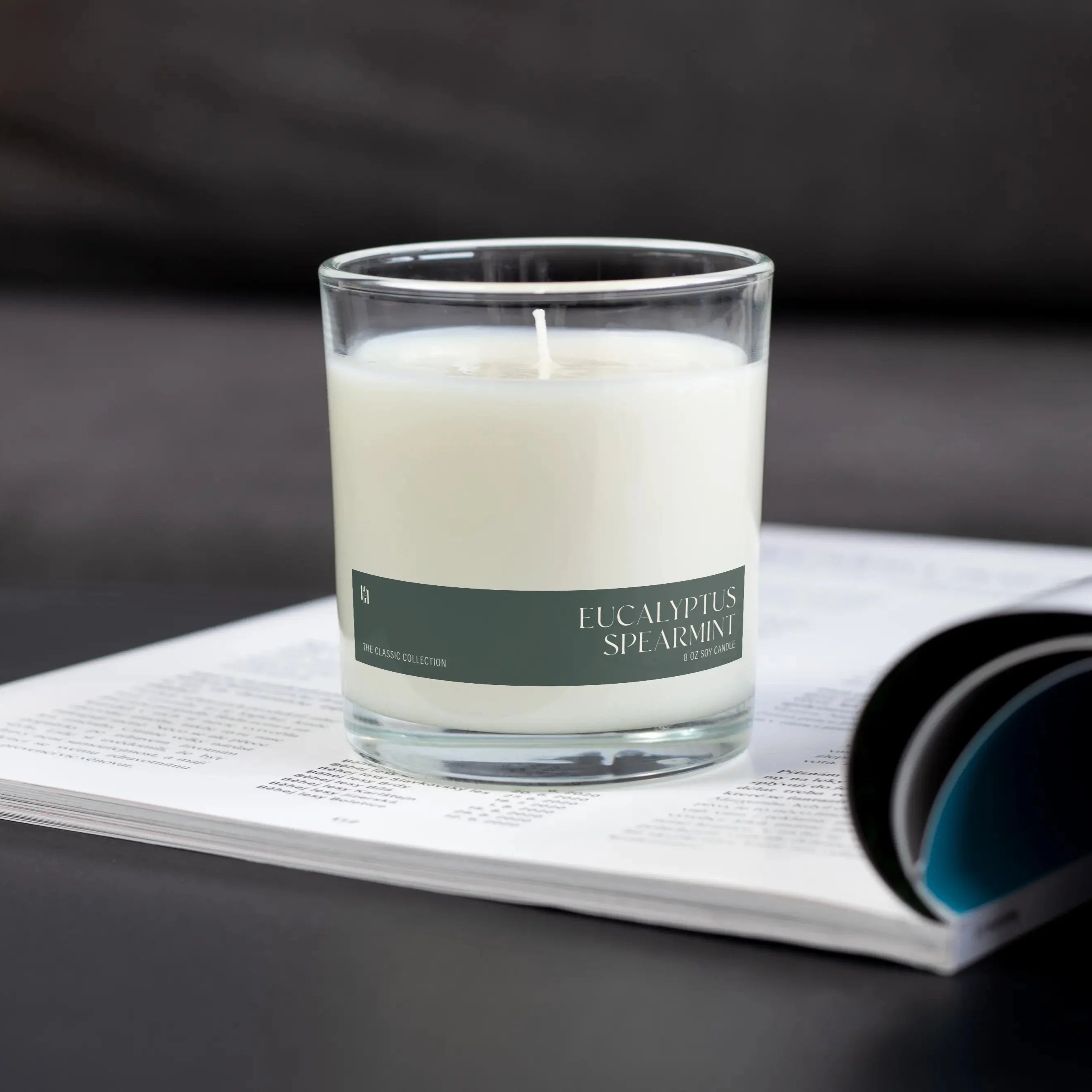 Eucalyptus Spearmint Soy Candle by Pretty Honest Candles