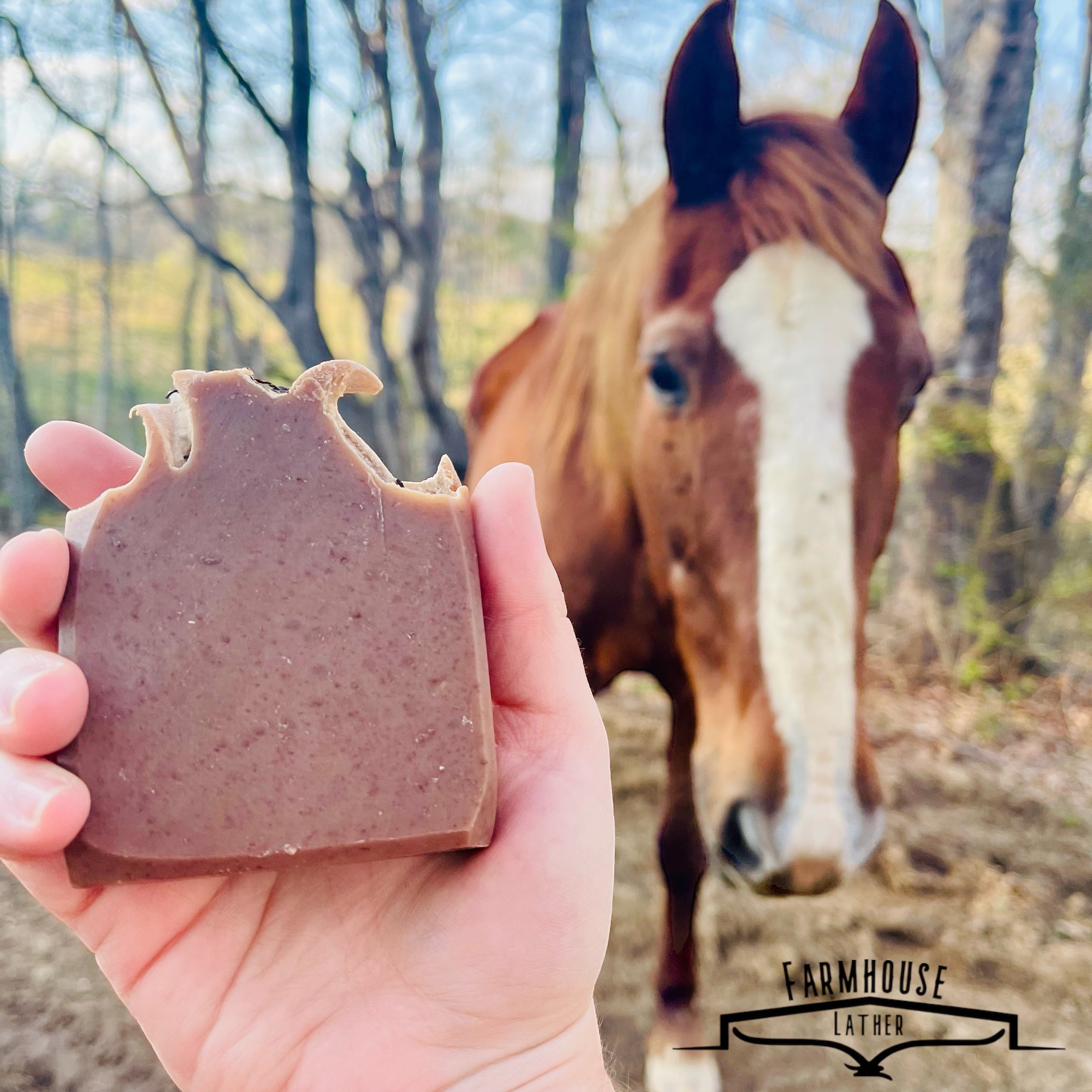 Farmhouse Lather Pasture Patootie goat milk soap image 1