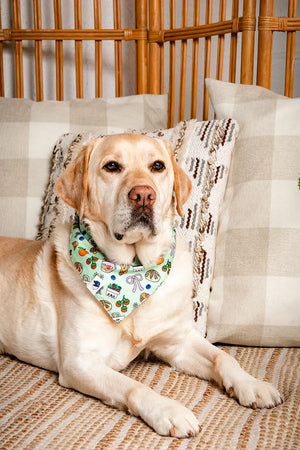 Farmers Market Dog Bandana by Dog Bandana Co., pet accessory detail photo 4