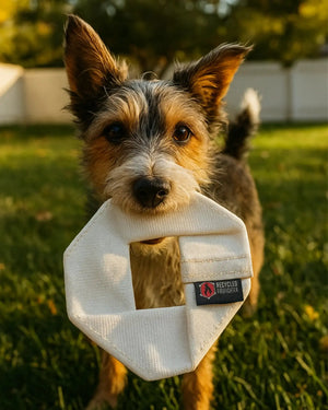 Fire Hose Dog Frisbee JR. by Recycled Firefighter, pet accessory detail photo 3