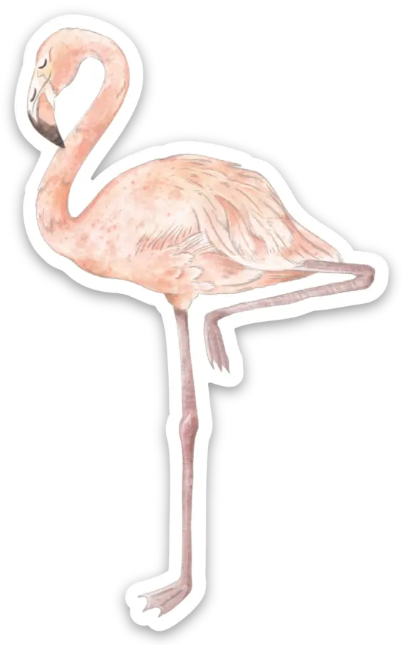Flamingo Die Cut Stickers by Nola Tawk, vinyl decal main product photo