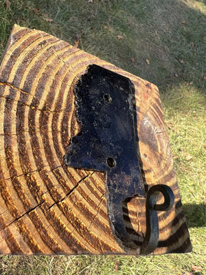 Forged State Hook by Redbeard's Forge LLC, Southern home decor main product photo