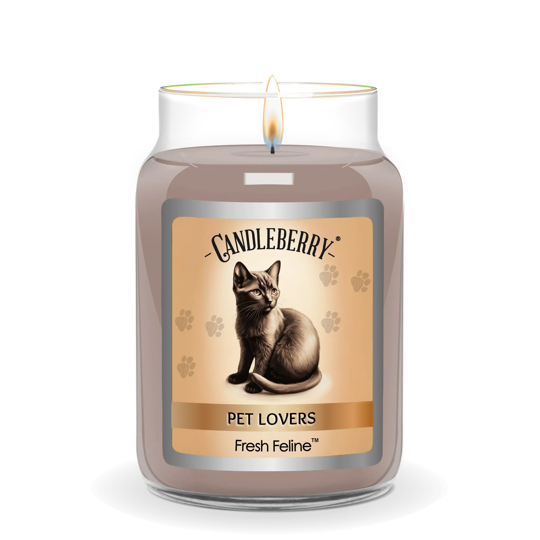 Fresh Feline™ - Large Jar Candle (Collective) by The Candleberry® Candle Company, scented candle detail photo 2
