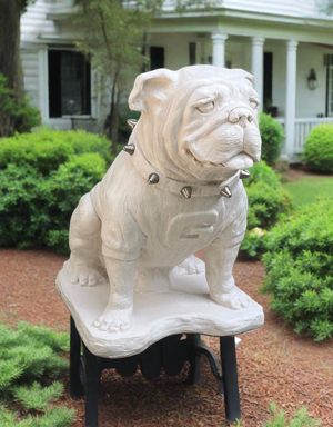 Georgia Bulldogs Natural White UGA Mascot Statue alternate view 5