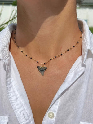 Gold Shark Tooth Necklace - Black by HALT, handmade jewelry main product photo