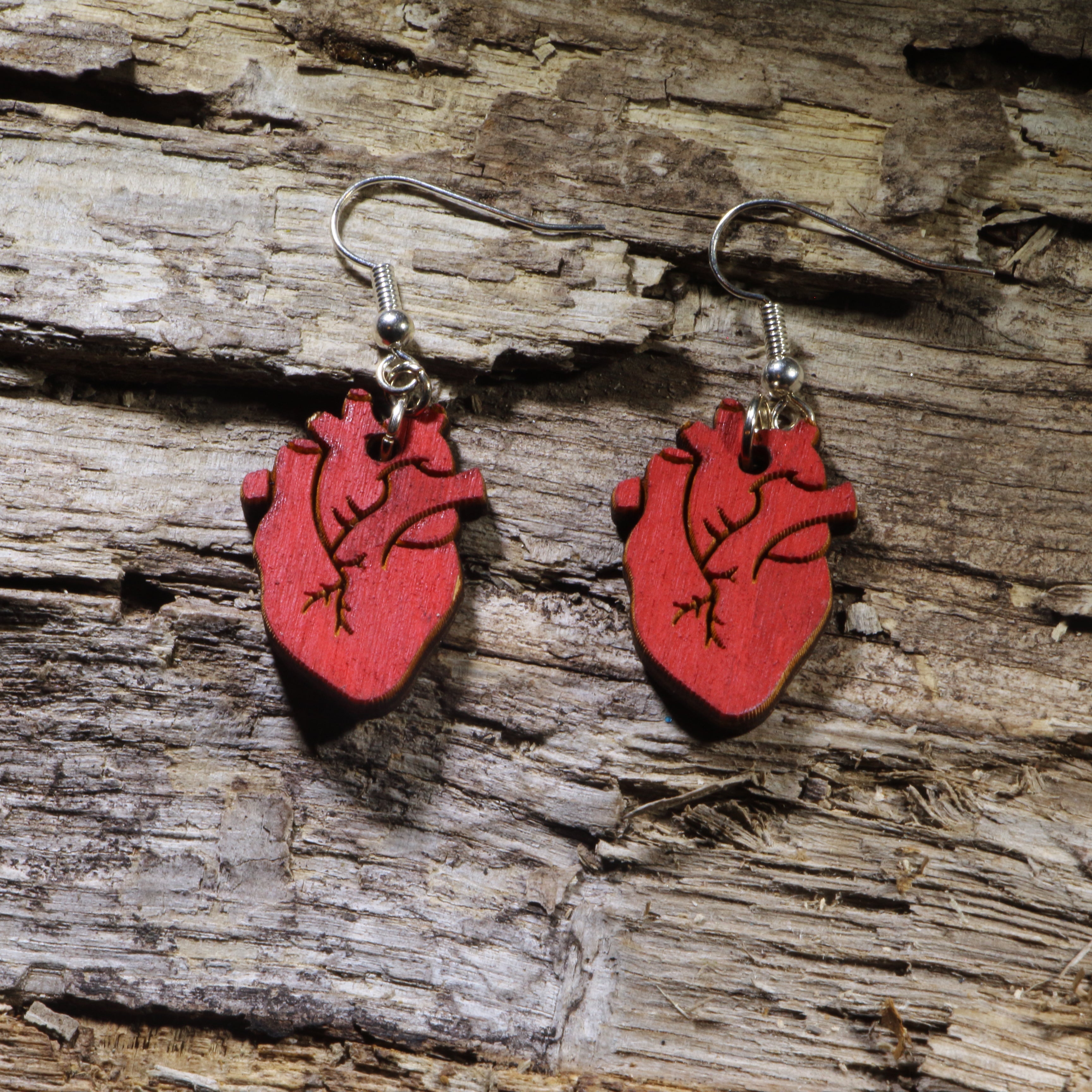Anatomical Heart Wooden Dangle Earrings | Medical Anatomy Jewelry by Cate's Concepts, LLC