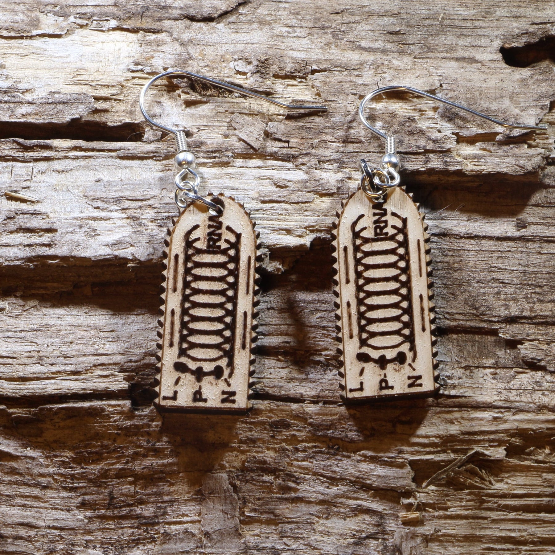 Rabies Virus Wooden Earrings | Science Microbiology Jewelry