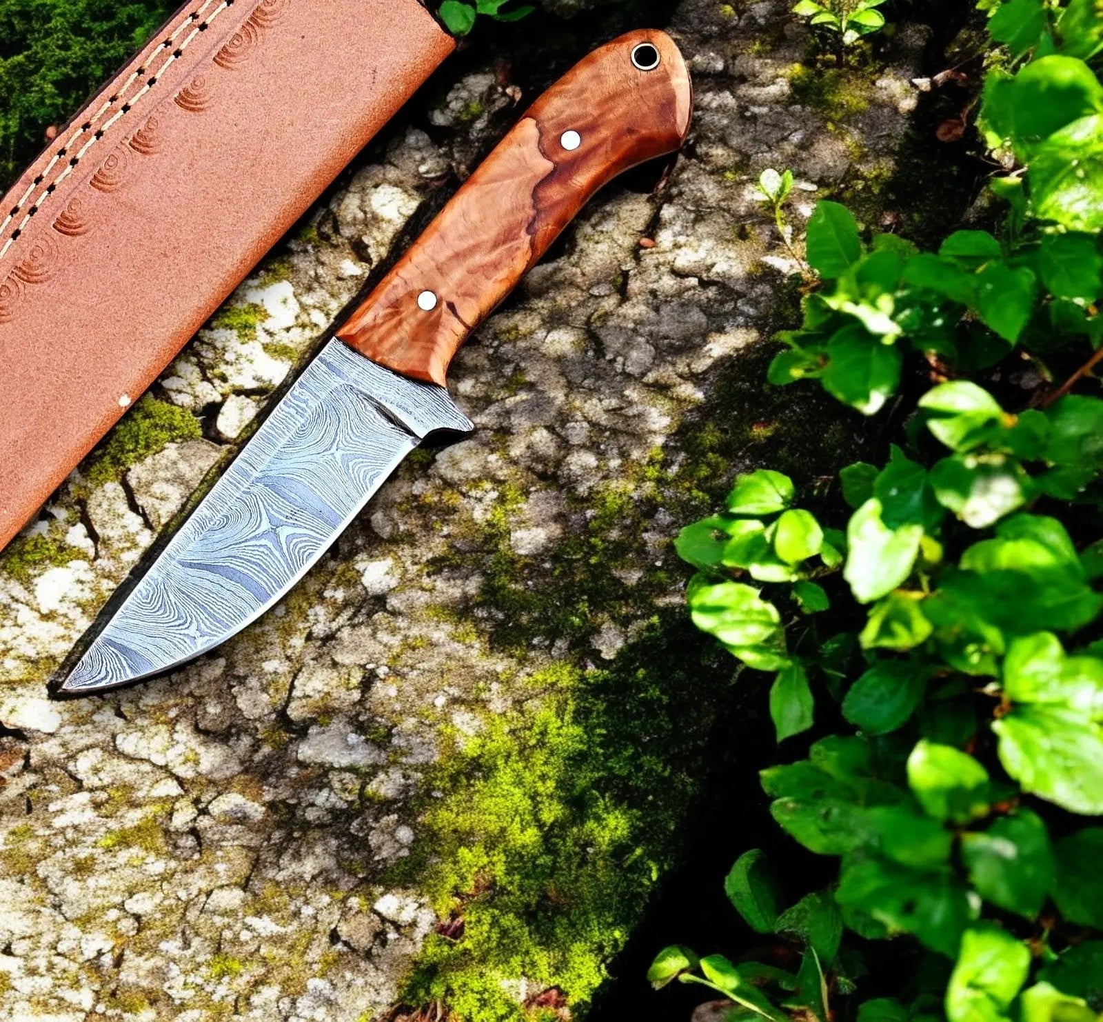 Handmade Damascus Steel Skinning Knife with Olive Wood Handle by Damascus Knife Store, Damascus knife main product photo