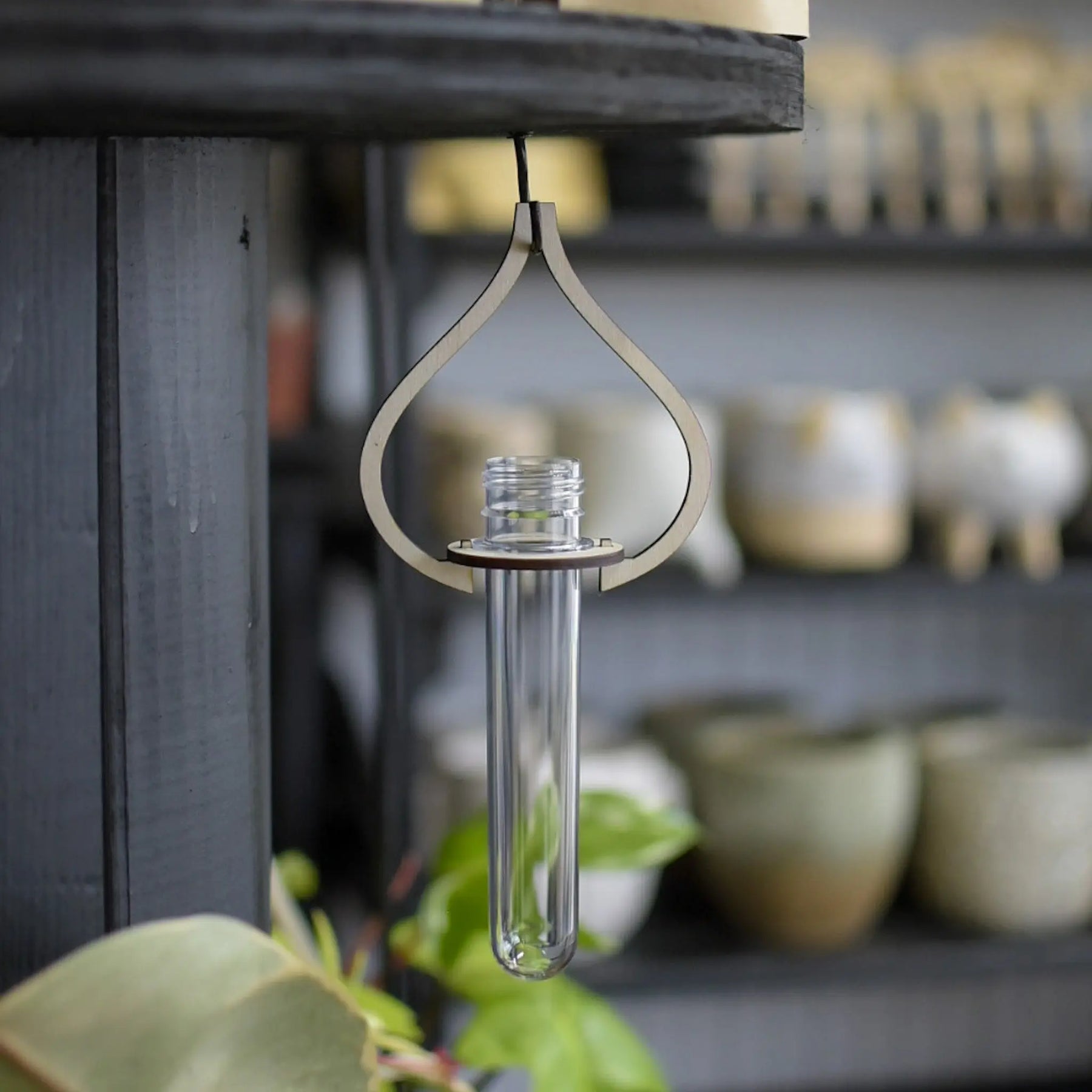 Hanging Propagation Station by Still Magnolia, plant stands main product photo